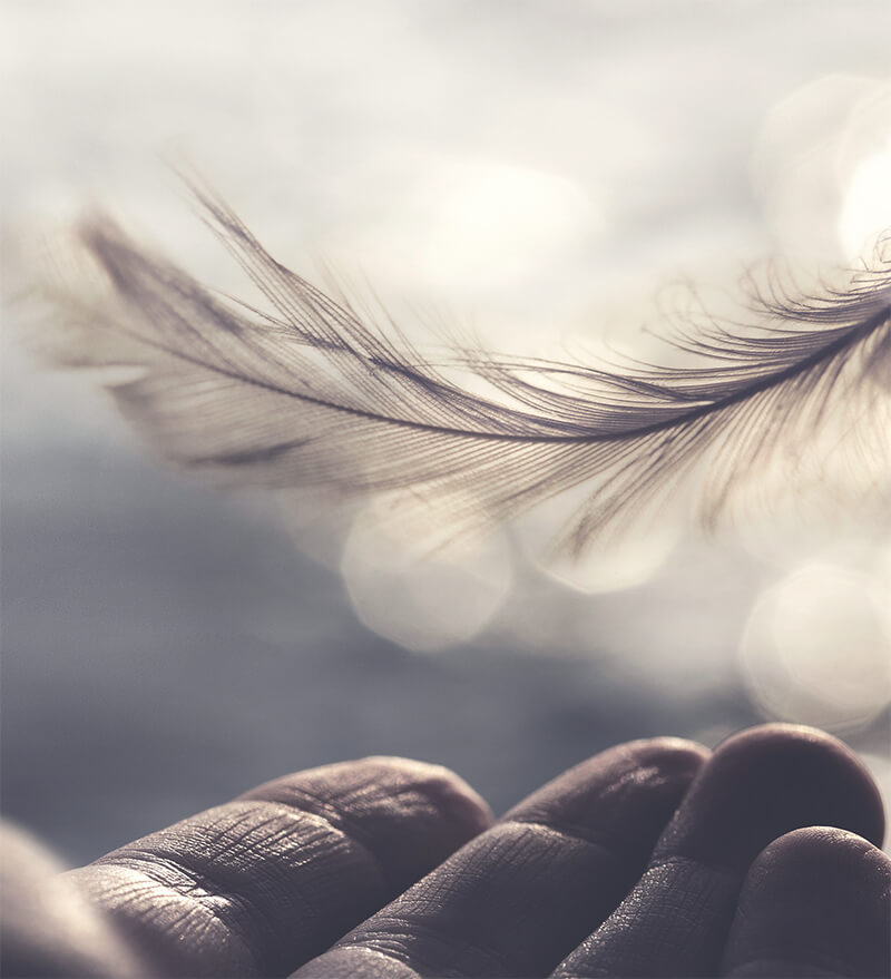 Grief Therapy Lou Aylward